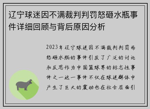 辽宁球迷因不满裁判判罚怒砸水瓶事件详细回顾与背后原因分析