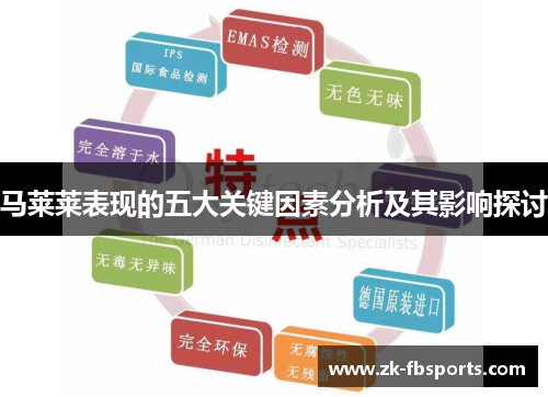 马莱莱表现的五大关键因素分析及其影响探讨